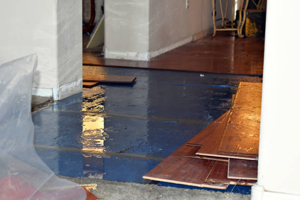 Professional Water Extraction technician working in Avella, PA
